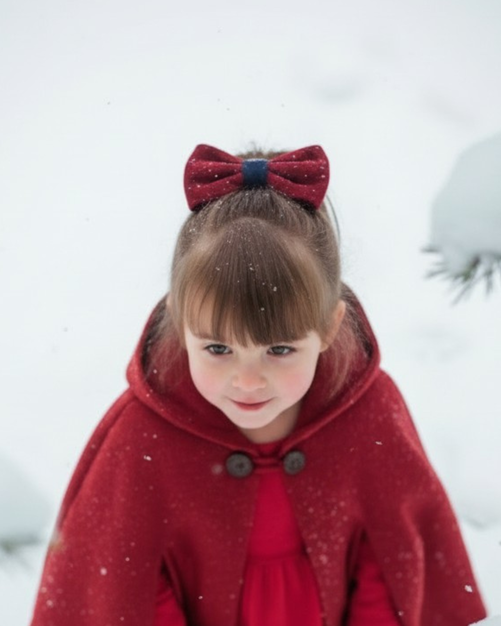 Lazo Coquette terciopelo rojo y azul marino